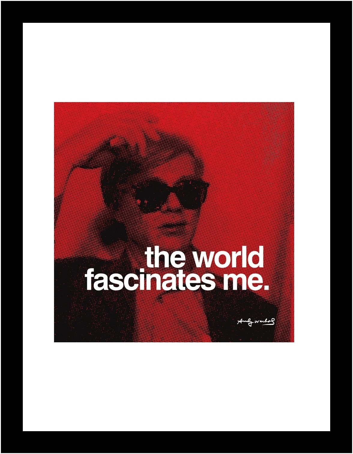 Andy Warhol Poster Kunstdruck Bild im Rahmen The world fascinates me 36x28cm - Afbeelding 1 van 1